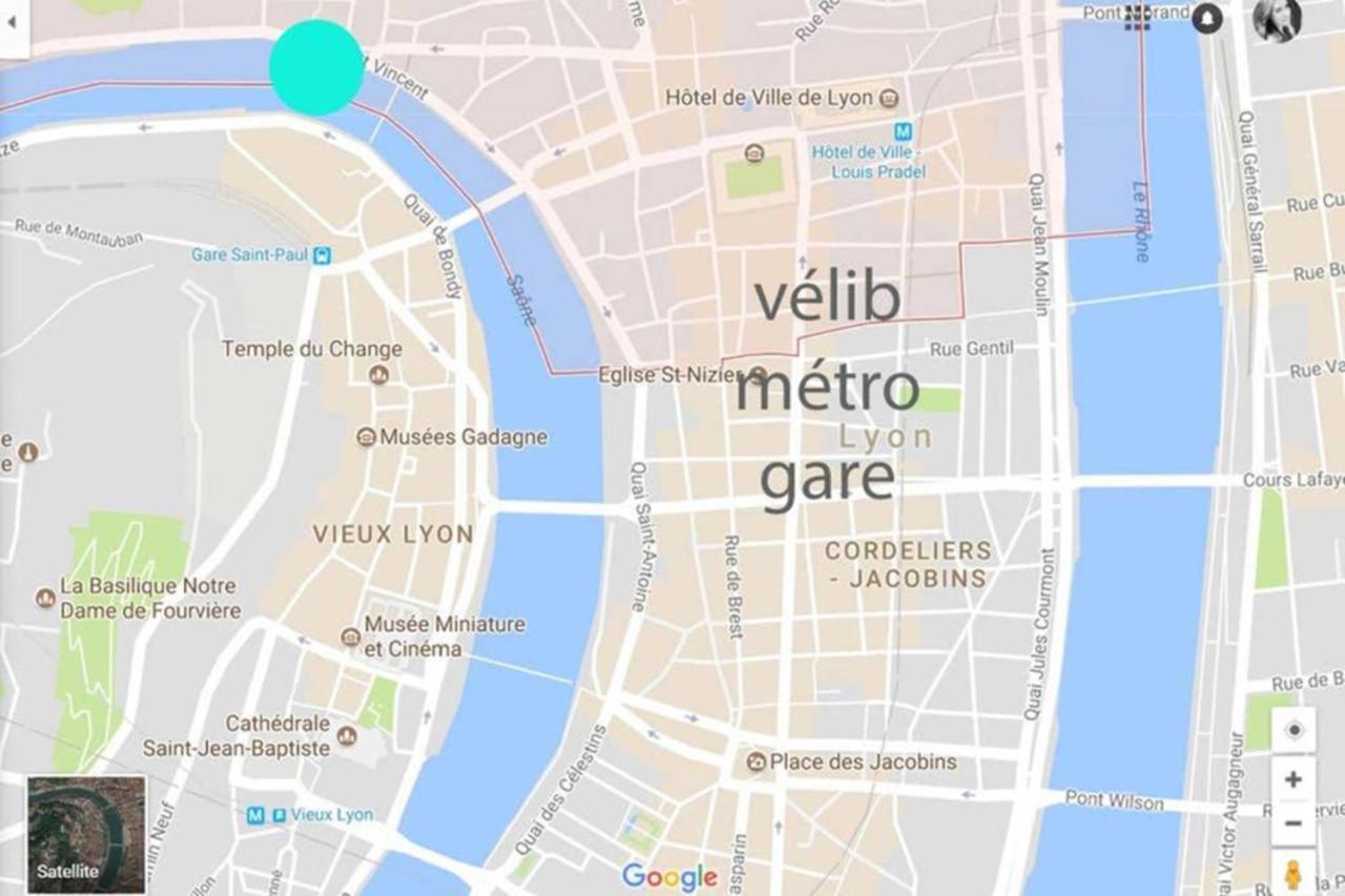 Appartement Haussmannien D'Artiste, Exception, Quai De Saone Balcon+Parking リヨン エクステリア 写真